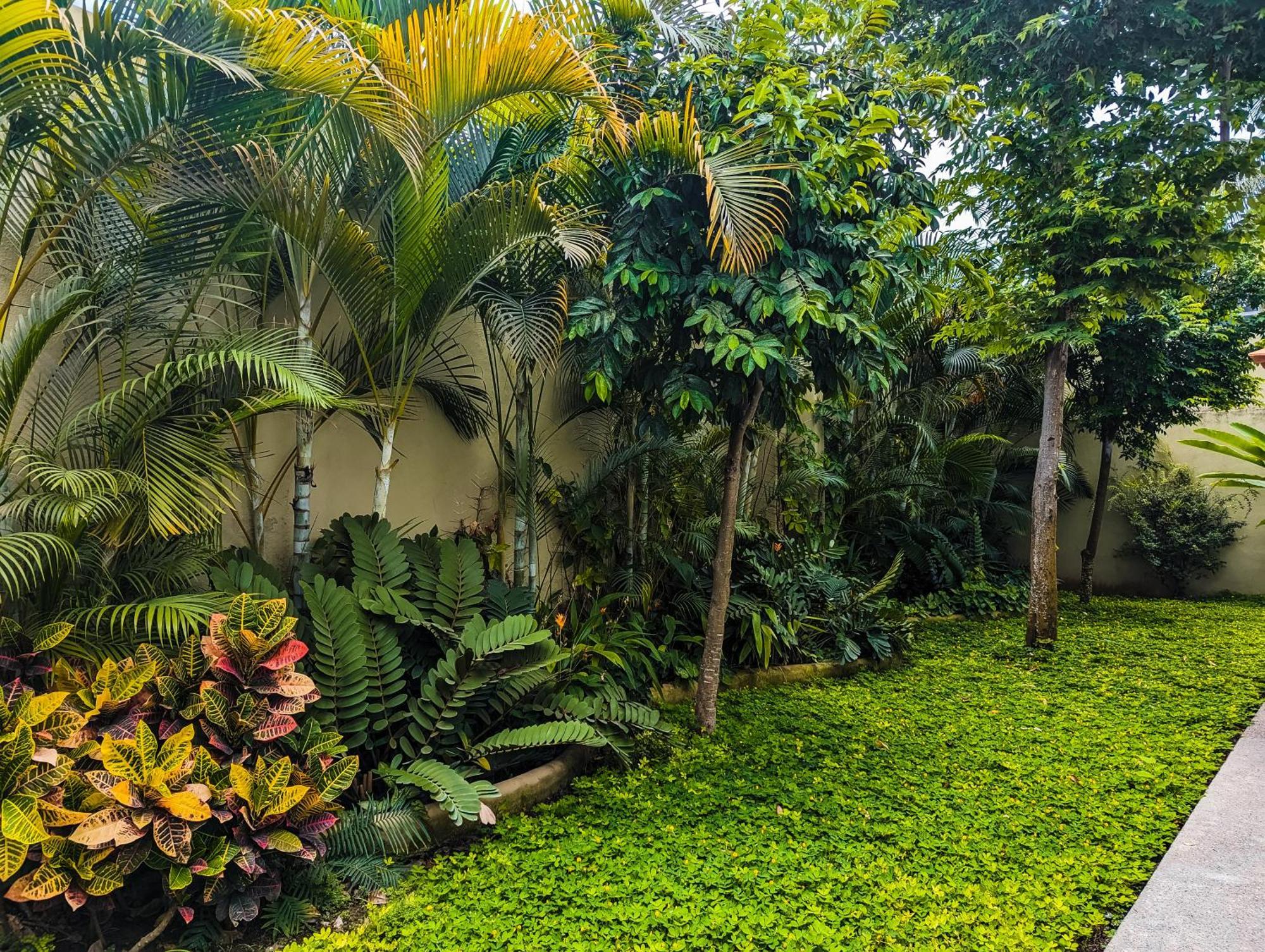 Los Gallos-Departamento Segundo Nivel โลเดมาร์กอส ภายนอก รูปภาพ